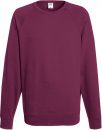 Bluza męska Reglan Lightweight Burgundowa XL